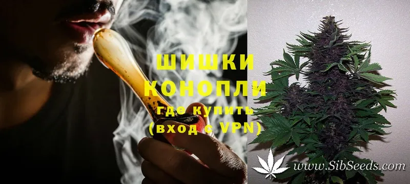 Шишки марихуана White Widow  Ливны 